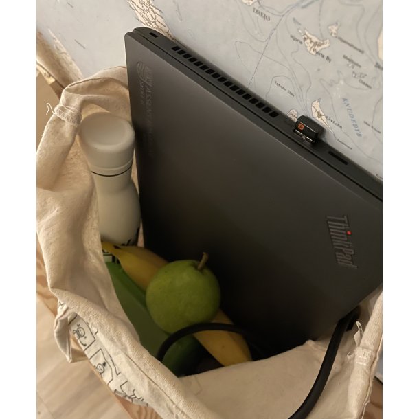 MULEPOSE - VINTERMOTIV 